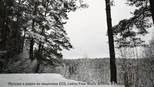 Ты НЕ ПОВЕРИШЬ, что это не CGI! - Llamandotenlenguas 2 (VIII) -- opo -- Estudios Indigeniformes