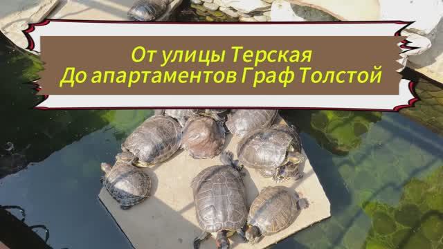 Анапа. От улицы Терская до набережной Граф Толстой.
