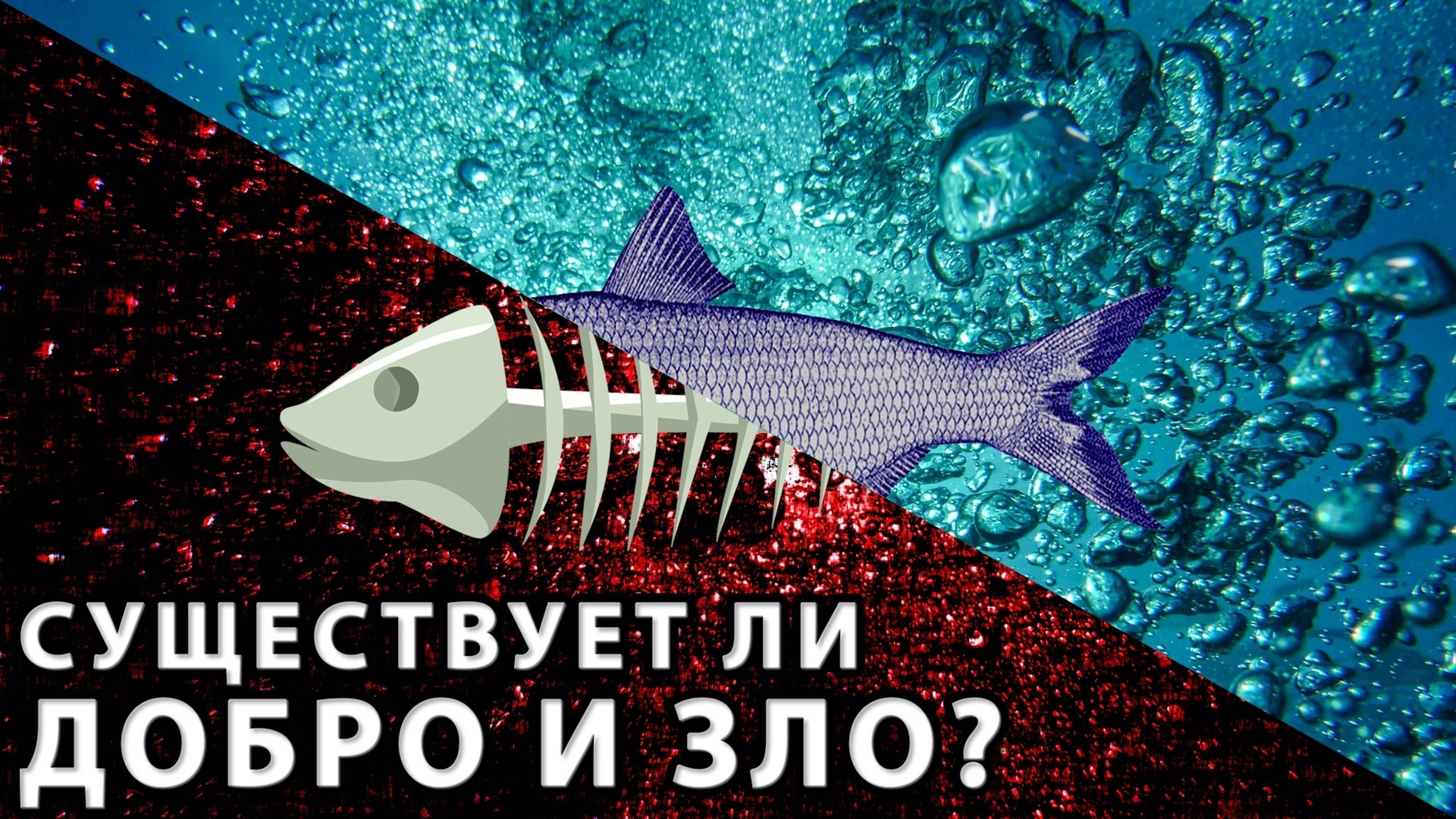 Существует ли Добро и Зло?