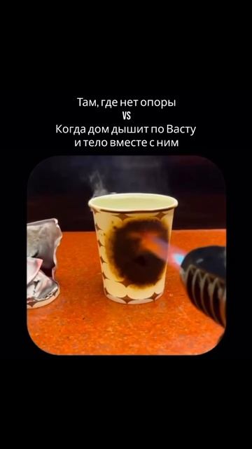 Почему одни «выгорают» — а другие проходят через тот же огонь, но остаются целы? 🔥