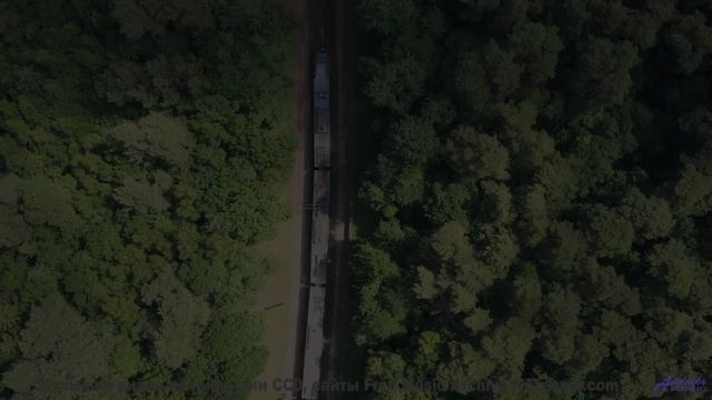 Это видео - как сон, в который не хочется просыпаться! - Sweet And Sour Sanich -- Podington Bear --