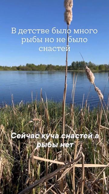 Вся правда о рыбалке