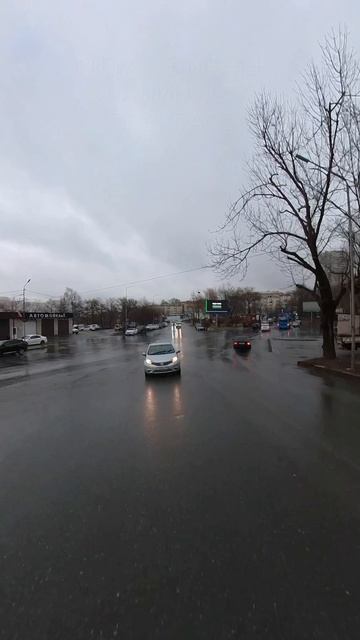 VL