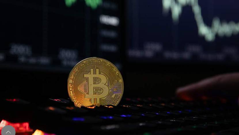 Bloomberg рассказал о доходах Трампа от продажи токенов криптовалютной компании