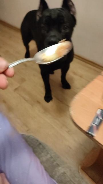 Учимся кушать с ложечки))