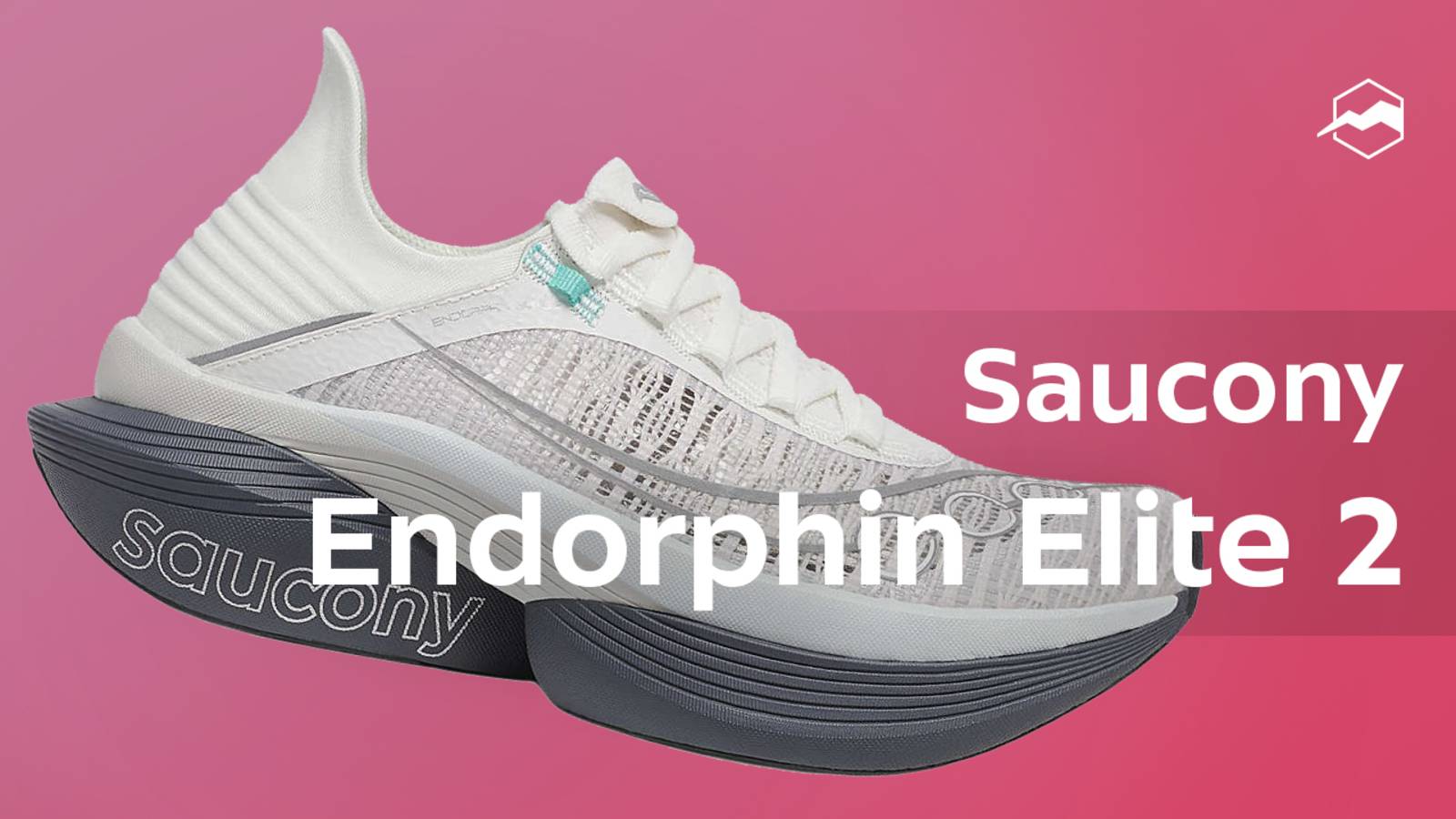 Кроссовки Saucony Endorphin Elite 2