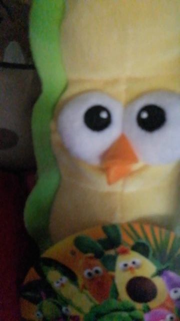 VID_20250616_190016.mp4
