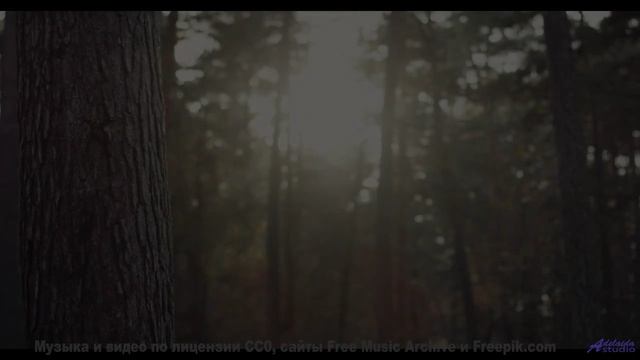 Звуки природы + идеальная музыка = ваш побег от реальности! - Bad Nostalgia -- Anthem of Rain -- Fre