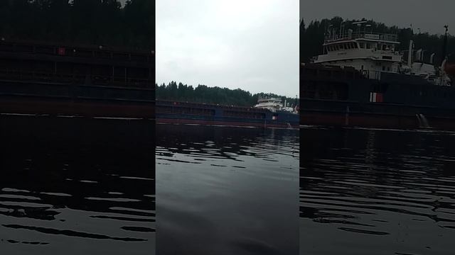 VID_20250616_134219.mp4