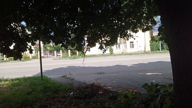 Тамбов, лето, путешествие, 2025