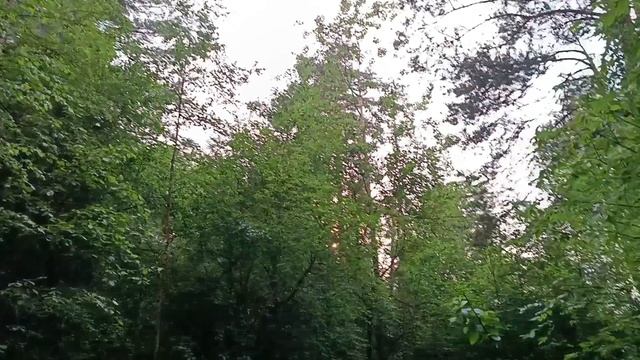 ДОБРОЕ УТРО☀ 🌝⏰. СВЕТЛЫХ УЛЫБОК И ТЁПЛЫХ МОМЕНТОВ!