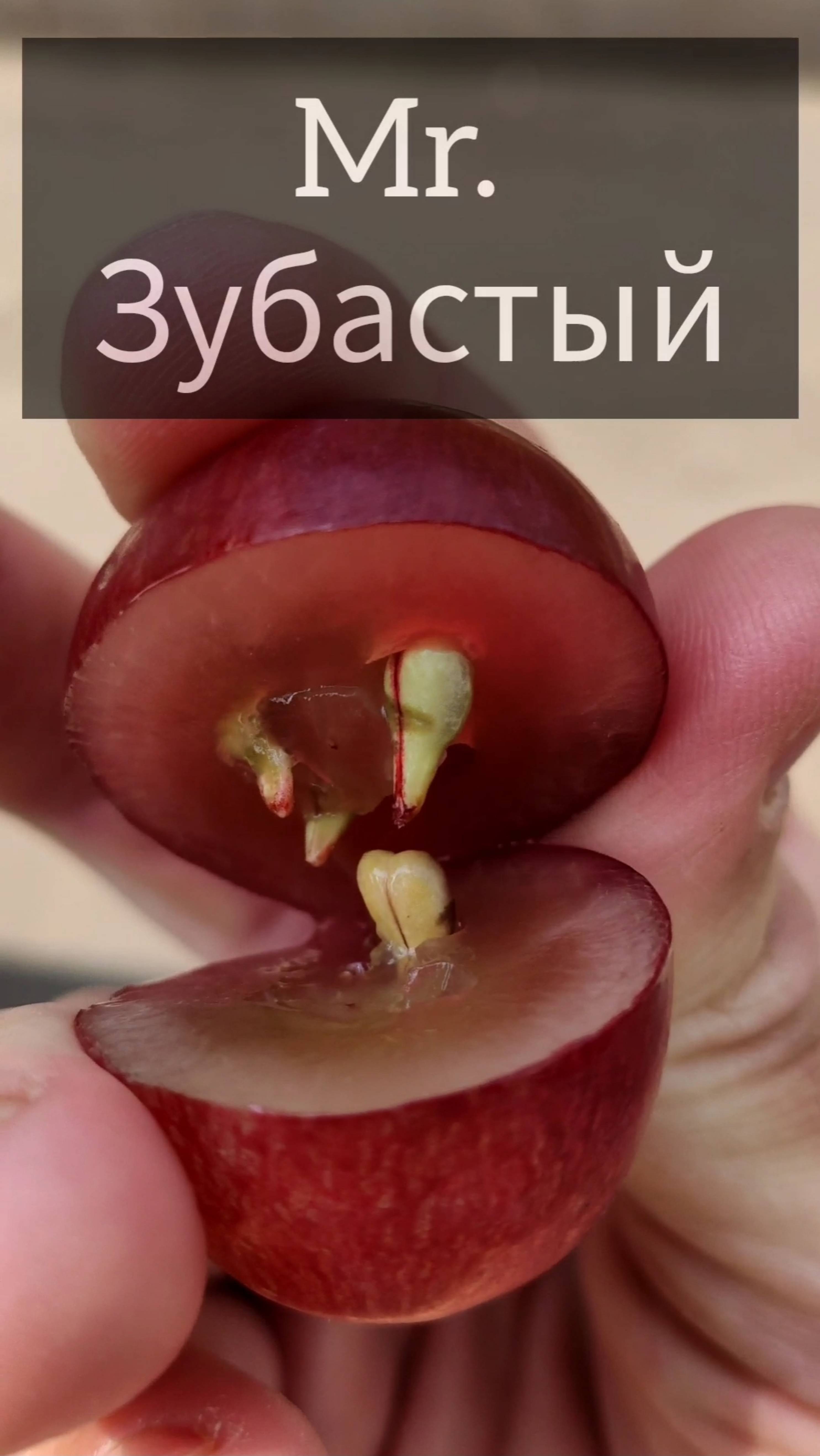 Зубастый здоровяк #redglobe