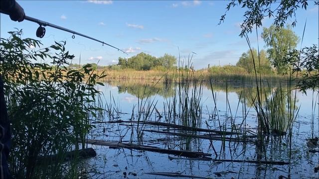 рыбалка в середине июня! озеро зарастает но рыба есть!