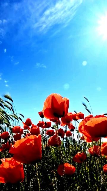 Реальные моменты