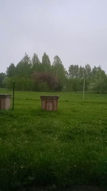 снег весной 2025 апрель