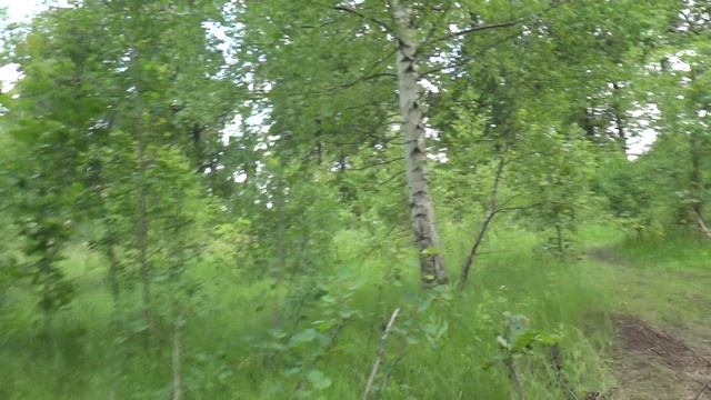20250616-strigin-bor
