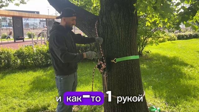 Боллард новое устройство для спуска веток