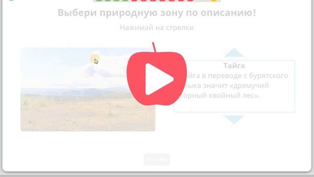 11 Мир вокруг