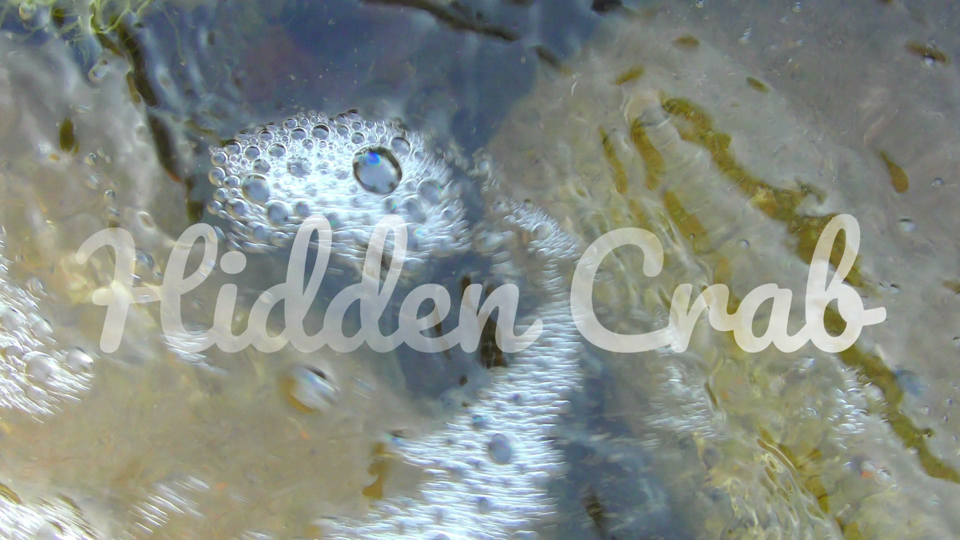 Hidden Crab