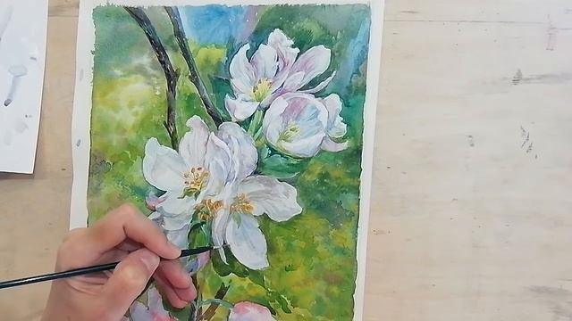 Цветение яблони акварелью часть 4