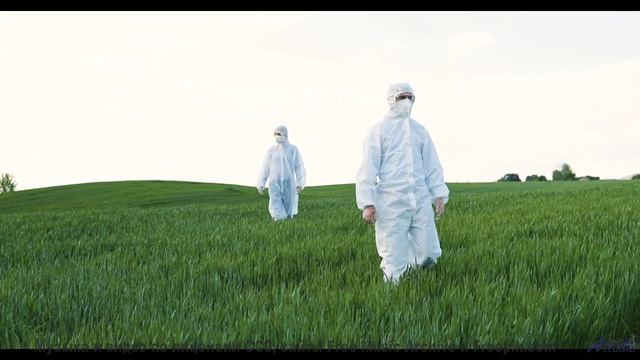 Мелодия превращает поля в магические пространства - Negative Ecstasy -- Blue Sky Moon -- I Used to B