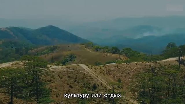 Нгуен Тат Хынг, 4 возрастная категория