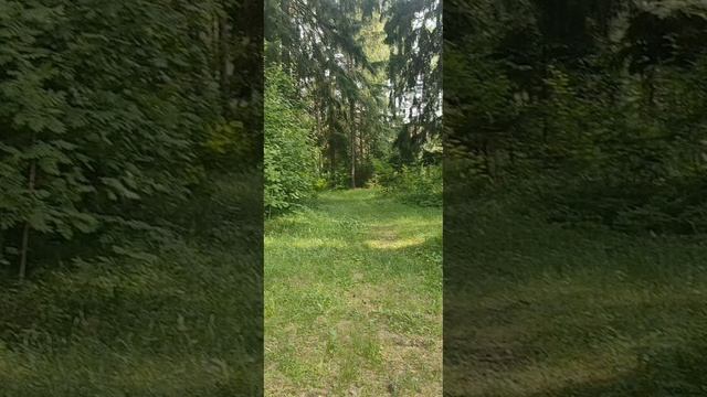 (22) Библия Евангелие от Иоанна глава 6 стих 28-39