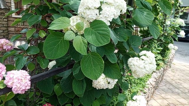 Цветы сад огород . Декорации - Поделки для сада