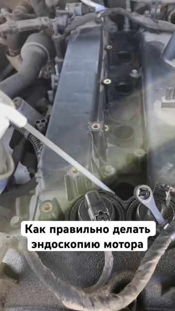Как правильно делать эндоскопию мотора, что бы его не убить. #автоподбор #мотор #эндоскопия