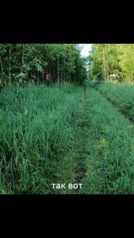 * Почему я не устаю? *