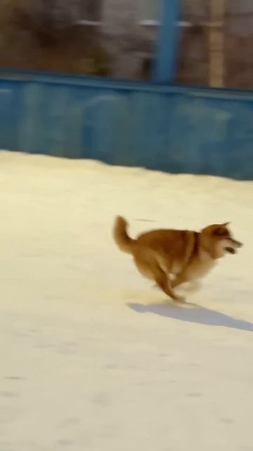 Кардио