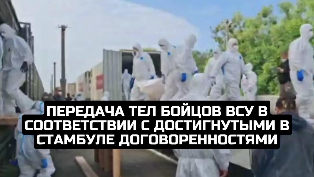 Передача тел бойцов ВСУ в соответствии с достигнутыми в Стамбуле договоренностями