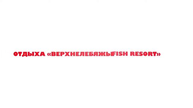 Отдых на базе в Астраханской области
