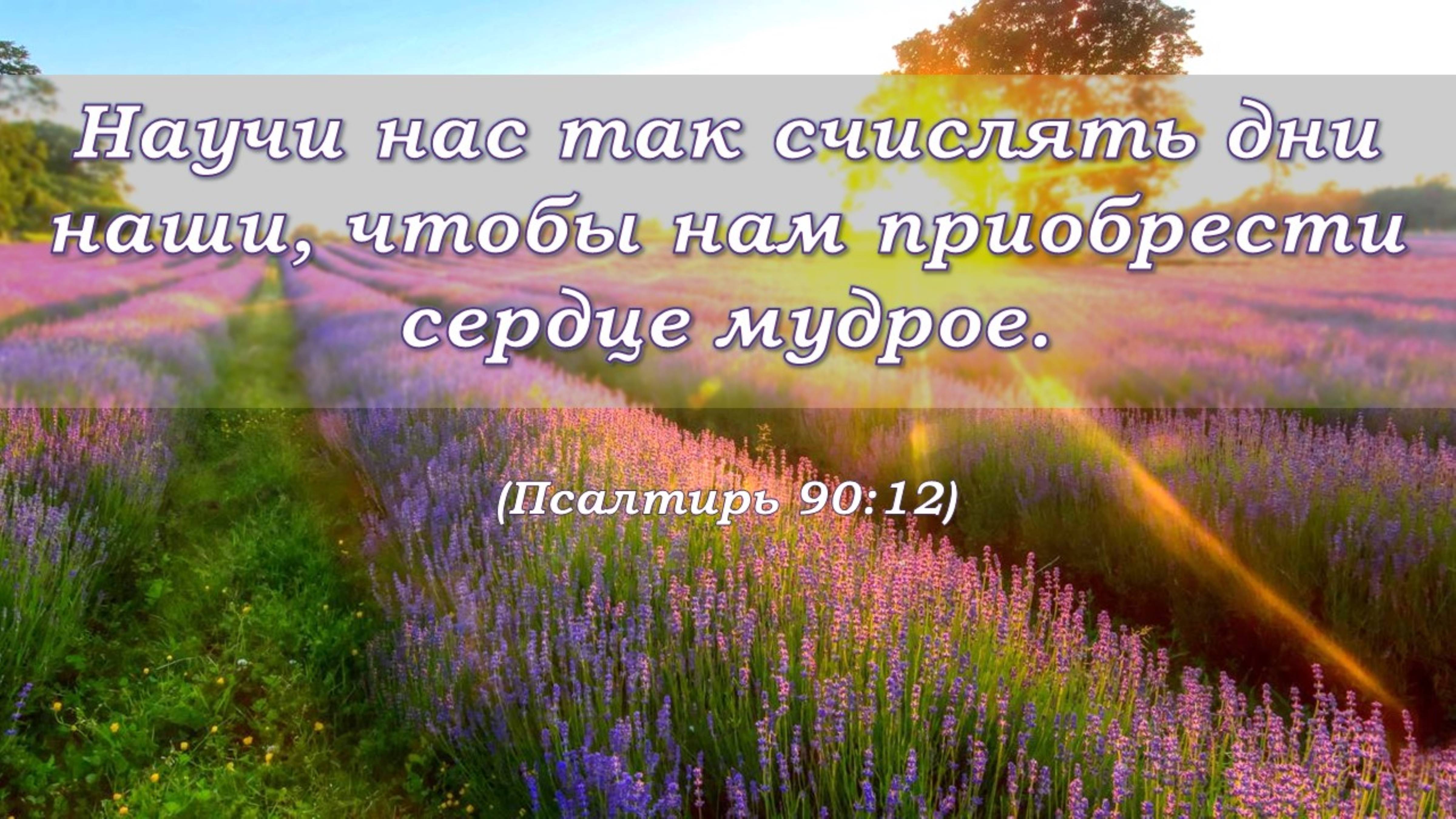 Общее собрание 15.06.2025