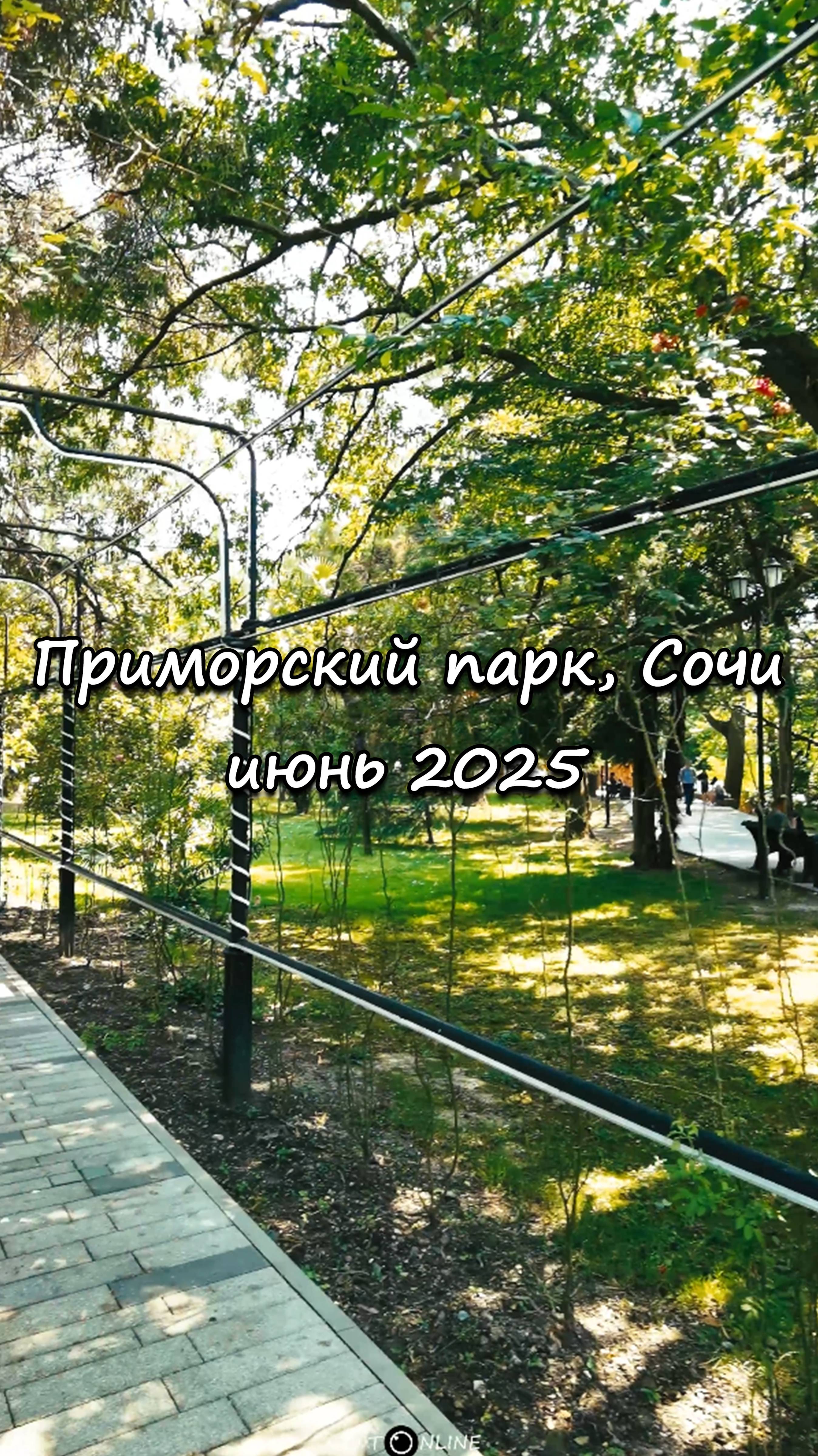 Приморский парк, Сочи. Июнь 2025