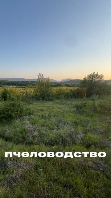 2.5 гектара под сельхоз бизнес в Крыму в Байдарской долине.