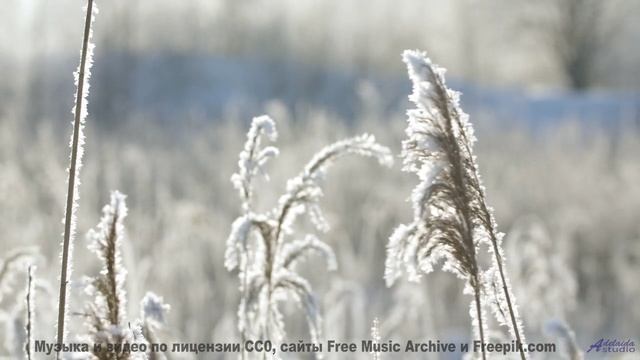 Звуки, которые слышат только просветленные - а вы - Ill Be Waiting -- Double-F the King -- Fillins