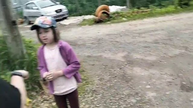 расследование самоката. сыщики !!!!!!!
