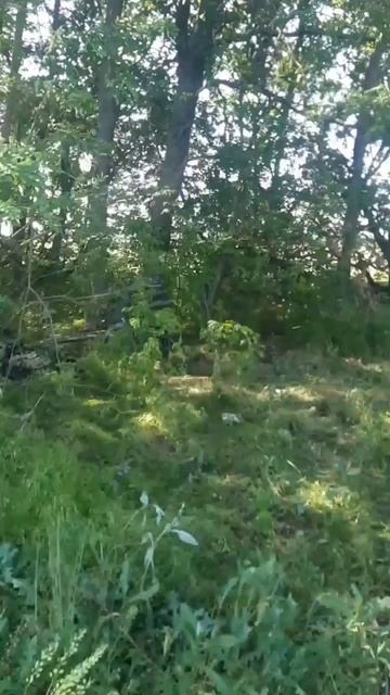 Кадры использования нашими военнослужащими Северокорейской 107-мм РСЗО «Type 75» на полигоне.