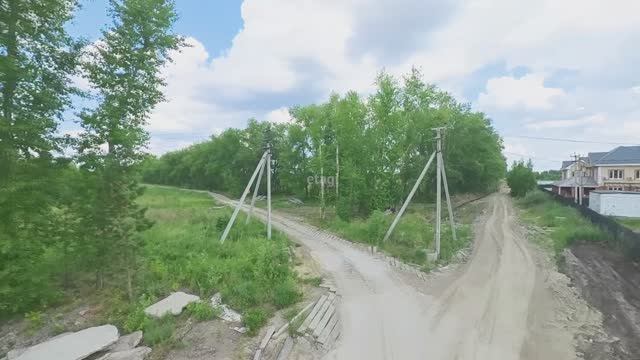 8527369 - Зеленые Алле