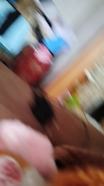1000008209.mp4