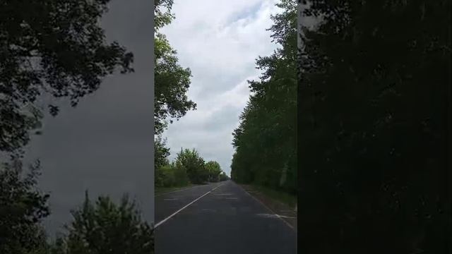 Пос. Светлая поляна