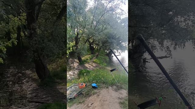VID-20250525-WA0110.mp4