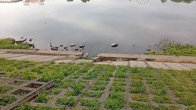 Заволжский парк Тверь