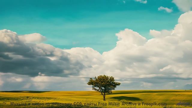 В голове остаётся только ритм и бескрайняя природа - Say Its All Right -- Eyelids -- Live at Monty H