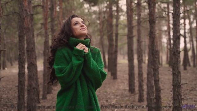 Звуки природы + идеальная музыка = ваш побег от реальности! - Arcade Paradise -- Scott Holmes Music