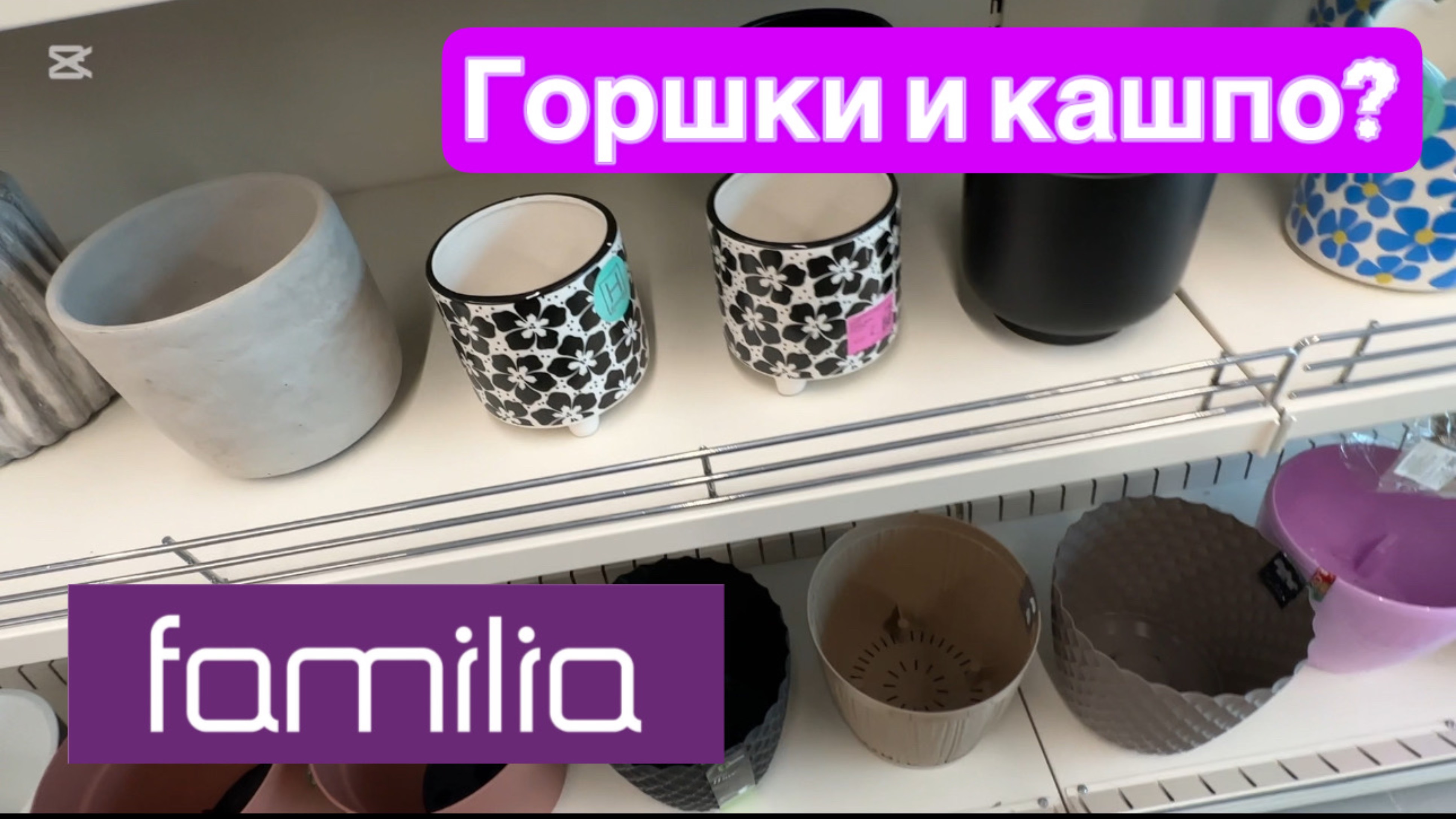 Что интересного для цветочника в «Familia»?