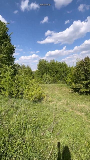 Словно не в городе #земнойирий #коломенское #древниемегалиты #культовыекамни #мистика #местасилы