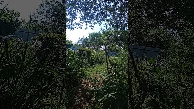 Таро.Ваш день.