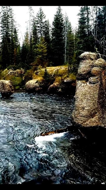 Поймано случайно